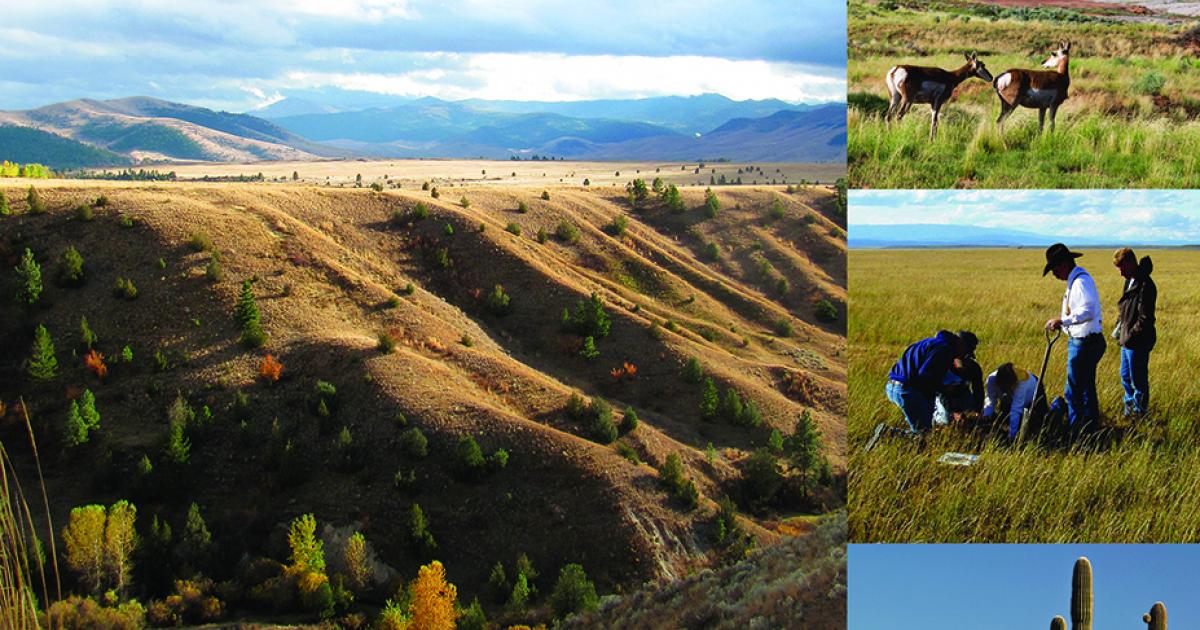 Interpreting Indicators of Rangeland Health [Version 5] Bureau of
